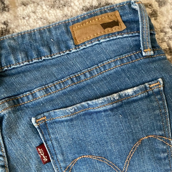 Levi - Picture 4 of 5